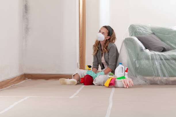 Reliable Commercial Mold Remediation contractor in Karthaus, PA by WQB Mold Removal